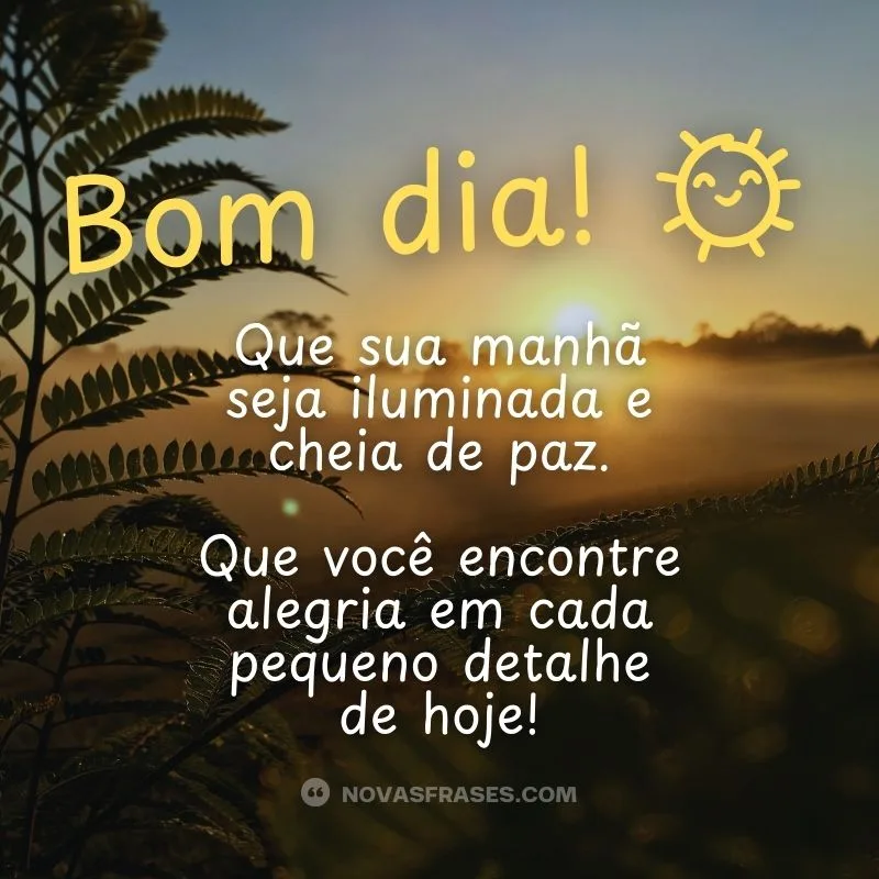 Manhã em paz!